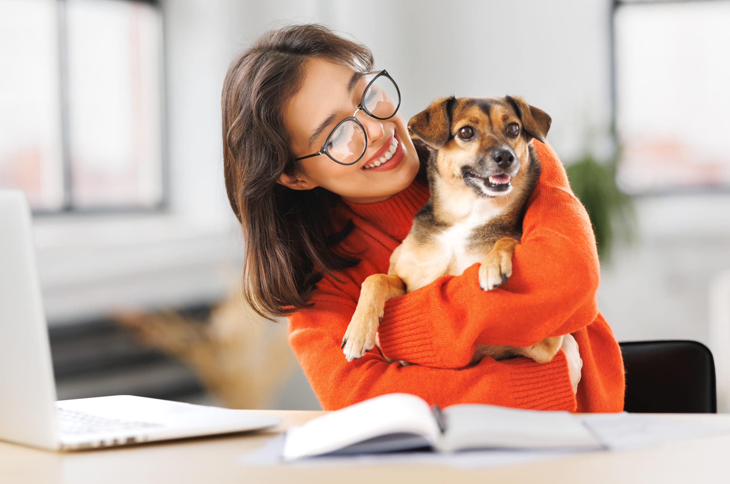 happy young female freelancer working on laptop remotely from home together with pet dog